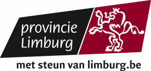 pl_logo_msv